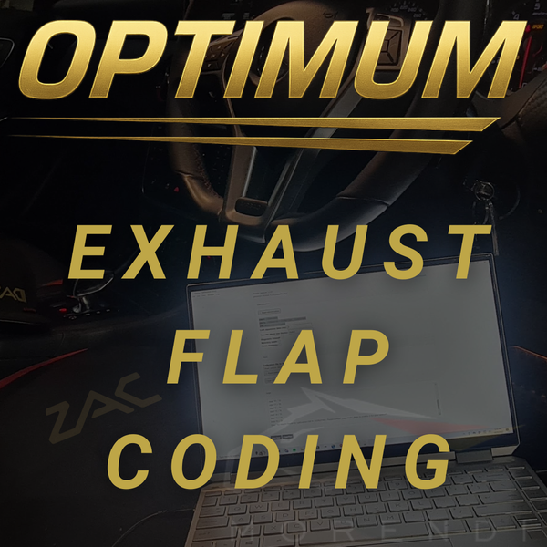 Exhaust Valve Deactivation (Remote)